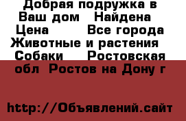 Добрая подружка,в Ваш дом!!!Найдена › Цена ­ 10 - Все города Животные и растения » Собаки   . Ростовская обл.,Ростов-на-Дону г.